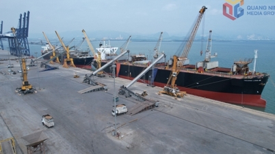 Cai Lan Port welcomes two ships as the first to arrive in the year of the Horse (Binh Ngo).