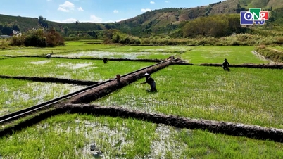 O primăvară prosperă și caldă în zonele minorităților etnice.
