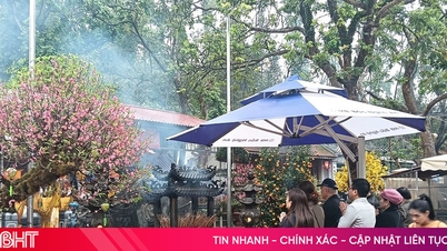 Hava koşullarına uyum sağlayarak, bahar festivali ziyaretçileri için rahatlık ve güvenliği garanti altına almak.