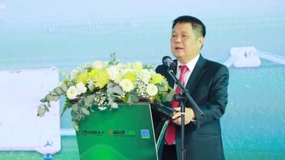 Beroemde "paarden" in de Vietnamese zakenwereld.