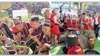The New Rice Festival of the Gie Trieng people - A symphony amidst the vast forest.
