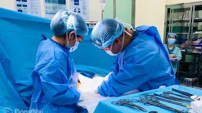 Durante las vacaciones del Tet se garantizaron exámenes médicos y servicios de emergencia.