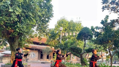 वियतनामी पारंपरिक मार्शल आर्ट में घोड़े की छवि।