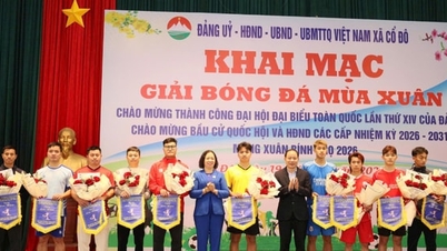 꼬두(Co Do) 면은 2026년 봄 빈응오(Binh Ngo) 남자 축구 토너먼트를 개최합니다.