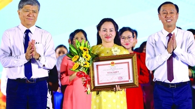 "মেগাসিটি"-এর জন্য জ্ঞানের ভিত্তি তৈরি করা