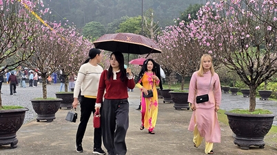 ការព្យាករណ៍អាកាសធាតុសម្រាប់ថ្ងៃទី ២០ ខែកុម្ភៈ (ថ្ងៃទី ៤ នៃរដូវបុណ្យតេត)៖ ភាគខាងជើងនៃប្រទេសវៀតណាមនឹងត្រជាក់នៅពេលយប់ និងពេលព្រឹក ចំណែកភាគខាងត្បូងនៃប្រទេសវៀតណាមនឹងជួបប្រទះអាកាសធាតុក្តៅក្នុងតំបន់។