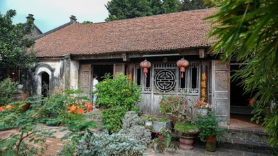 Découvrez de paisibles villages anciens aux abords d'Hanoï pendant le Nouvel An lunaire.