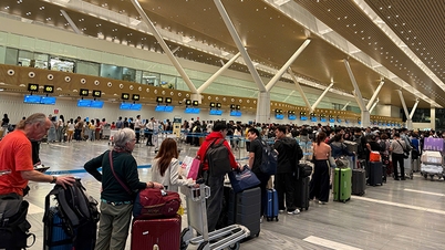탄손낫 공항, 항공편 및 승객 수 최고치 경신.
