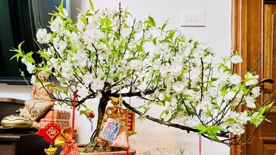 साल की शुरुआत में नमक खरीदना, एक सरल लेकिन खूबसूरत परंपरा है।