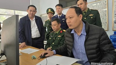 Quang Ninh implementa medidas urgentes para combater a pesca ilegal, não declarada e não regulamentada (IUU).