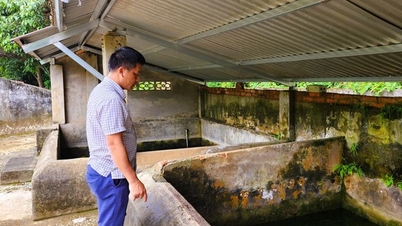 Historia „świętej studni” w Thanh Hoa jest pielęgnowana przez całą wioskę od setek lat.