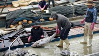 Angelausflug während des Tet-Festes, der mit reichlich Fisch und Garnelen gekrönt war.