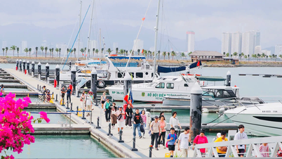 Over 3,500 cruise ship tourists arrived in Nha Trang on the fourth day of Tet (Lunar New Year).