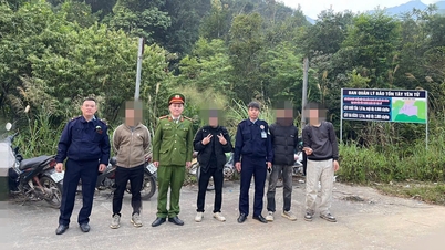La police de la commune de Tay Yen Tu a participé aux recherches et a ramené sains et saufs quatre touristes qui s'étaient perdus dans la forêt.
