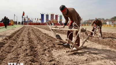 Reisen im Frühling 2026: 4 große Festivals in Ninh Binh, die Sie nicht verpassen sollten