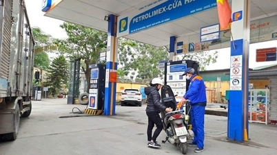 Los precios de la gasolina cayeron en el primer ajuste de precios del nuevo año.