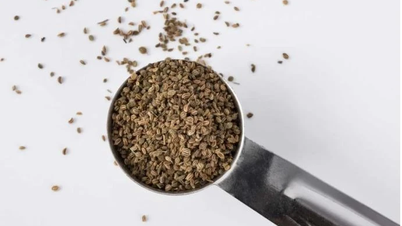 6 bienfaits surprenants des graines de céleri