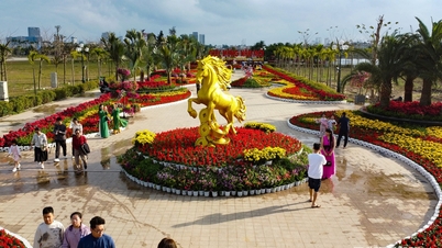 Voyage printanier dans l'est de Hai Phong.
