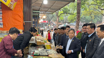 Het Huong Pagoda Festival van 2026 zal vanaf de openingsdag naar een professioneel niveau getild worden.