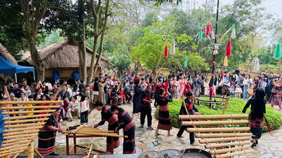 Celebre o Ano Novo Lunar na Vila Cultural e Turística dos Grupos Étnicos do Vietnã.