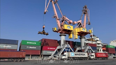 De zeehaven van Hai Phong zorgt voor een vlotte goederenstroom.