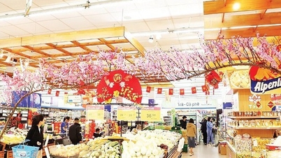 Abundant supply and stable prices during Tet holiday.