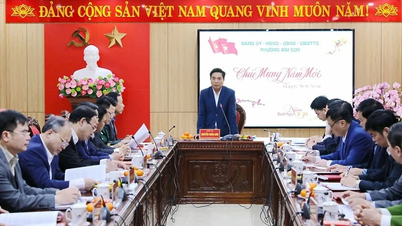 Thanh Hoa: Een veilig Chinees Nieuwjaar gewenst, waarna de productie en bedrijfsactiviteiten weer zijn hervat.
