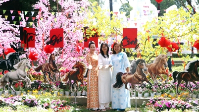 Kawasan Wisata Buu Long - destinasi ekowisata, budaya, dan spiritual yang unik di Dong Nai.