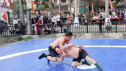 A lively traditional wrestling festival takes place in Kieu Phu commune.