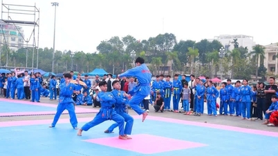 Vovinam yrer av aktivitet denne våren i Thanh Hoa-provinsen.
