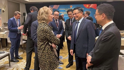 Att förverkliga viktiga handelsåtaganden mellan Vietnam och USA.