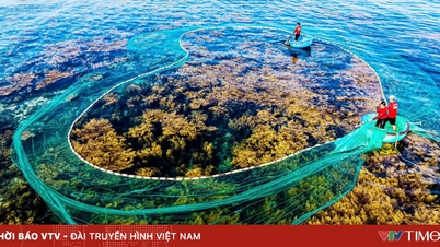 Quy Nhon estará entre os 25 destinos mais procurados do mundo em 2026.