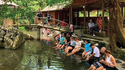 ベトハイ古代村 - カットバ国立公園の中心にある緑の宝石