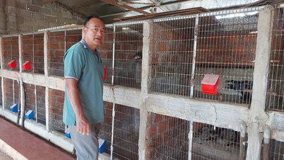 Orang pertama yang menciptakan produk kopi luwak di Pleiku.