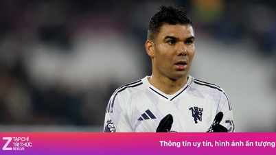 Patru destinații ideale în Casemiro