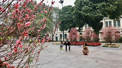 Norra Vietnam upplever kalla nätter och varma soliga dagar med temperaturer som når 26 grader Celsius, medan södra Vietnam är varmt och fuktigt.