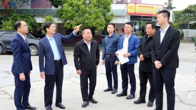Distrik Hong Gai: Landasan kokoh untuk fase pembangunan baru.