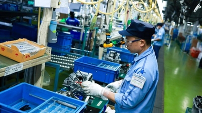 Institutional reforms pave the way for a new phase of development.