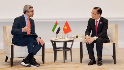 Việt Nam phối hợp với các nước tái thiết Dải Gaza trong khuôn khổ Hội đồng Hòa bình