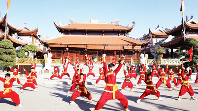 The year of Bính Ngọ (1966) handlar om Thượng Mã Quyền (Upper Horse Fist) kampsport.