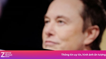 Starlink ویتنام میں اپنے گراؤنڈ اسٹیشن کہاں رکھتا ہے؟