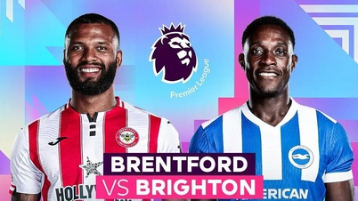 Previa del partido: Brentford vs Brighton, 22:00, 21 de febrero: Una gaviota en el ojo de la tormenta.