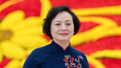 Detalii despre sediile candidate pentru a 16-a Adunare Națională pentru viceprim-ministru, miniștri și miniștri adjuncți.