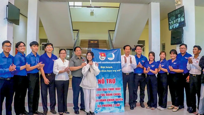 សញ្ញាសម្គាល់នៃ "ការងារស្ម័គ្រចិត្តឌីជីថល"