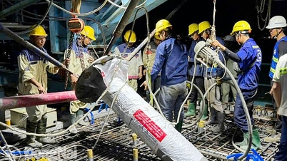 The cable-stayed bridge with the highest clearance in Vietnam, located in Dong Nai, is over 95% complete.