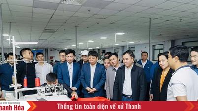 La base sobre la cual Thach Quang puede elevarse.