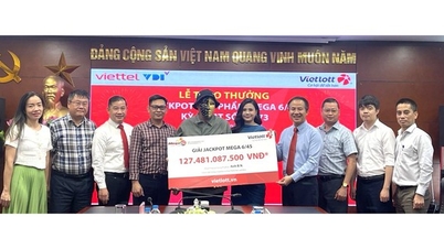 Bei den Lotterielosen Mega 6/45 und Power 6/55 von Vietlott gab es über 6,8 Millionen Gewinnerlose.