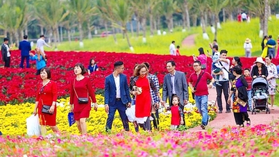 Manténgase seguro en cada viaje de primavera.