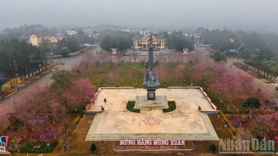 Quang Ngai: Seis terremotos consecutivos golpean Mang Den.