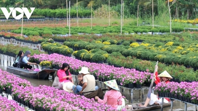 Sa Dez: Descubra o reino das flores mais vibrante e centenário do Delta do Mekong.
